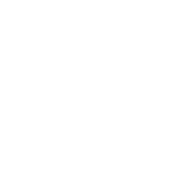 STS PICKLEBALL